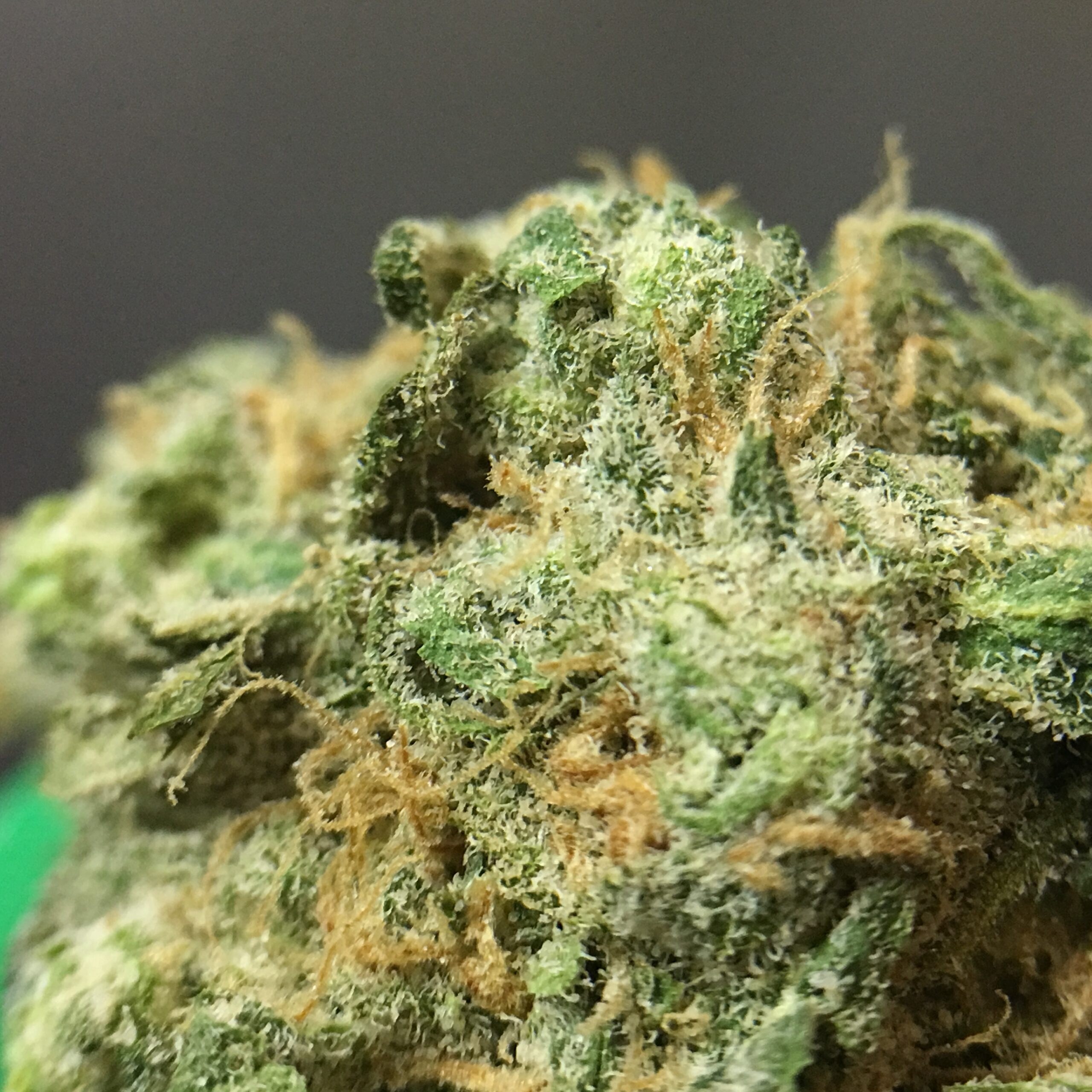 ISMOKE archive image 5 for Blue Dream Cannabis Strain Review