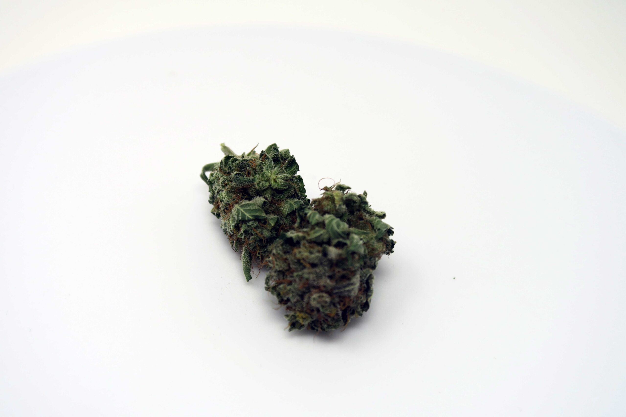 ISMOKE archive image 5 for Candy Cream Cannabis Strain Review
