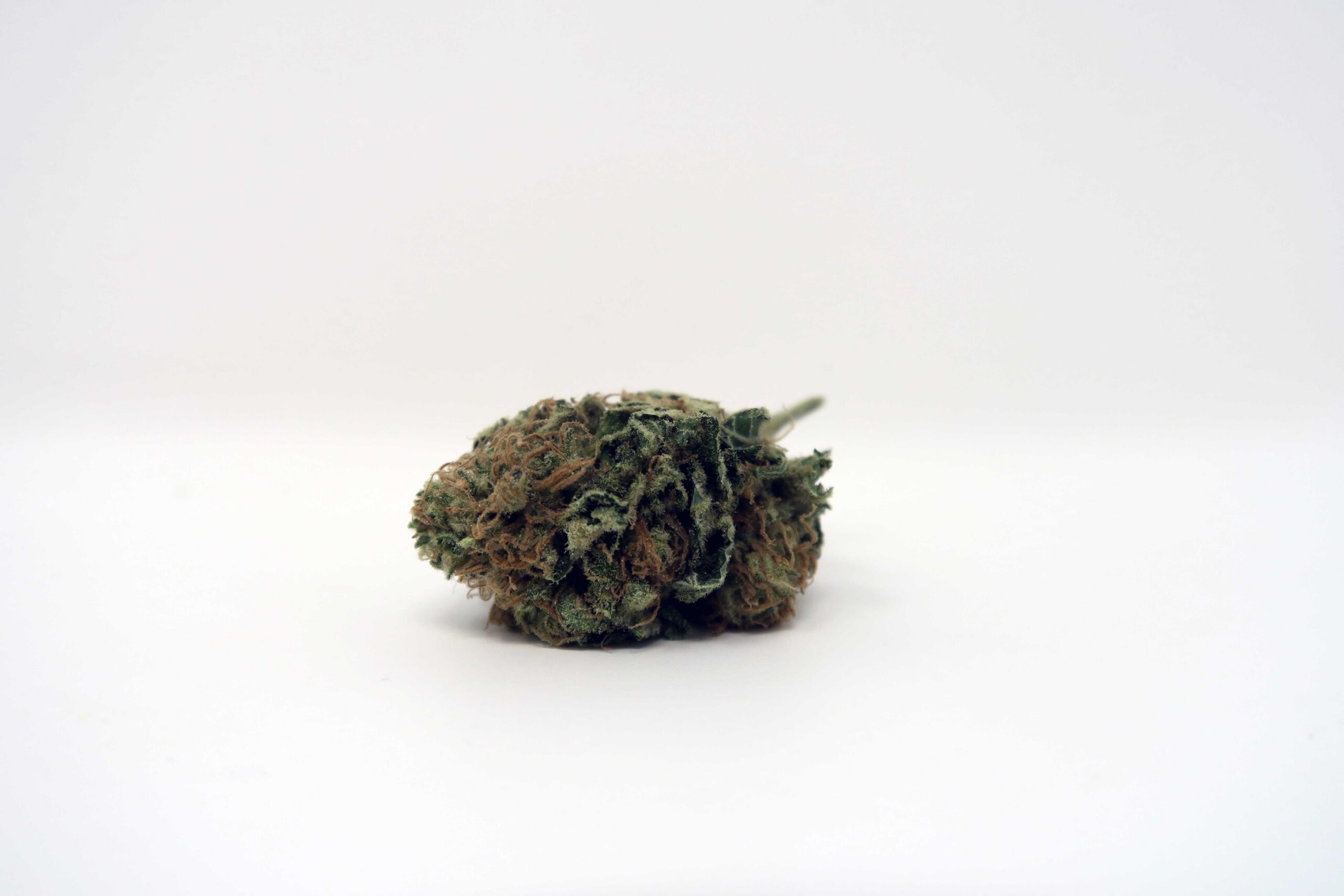 ISMOKE archive image 5 for Chocolate Kush Strain Review