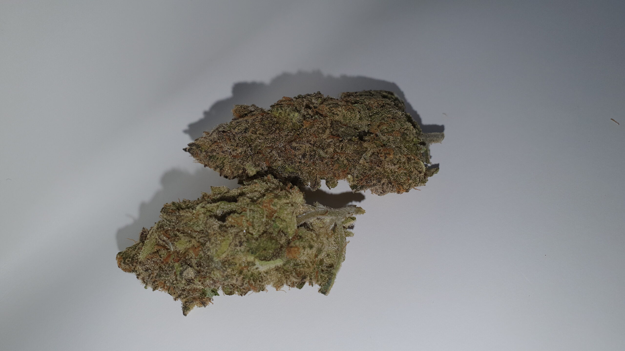 ISMOKE archive image 5 for Chocolate Orange Cannabis strain review