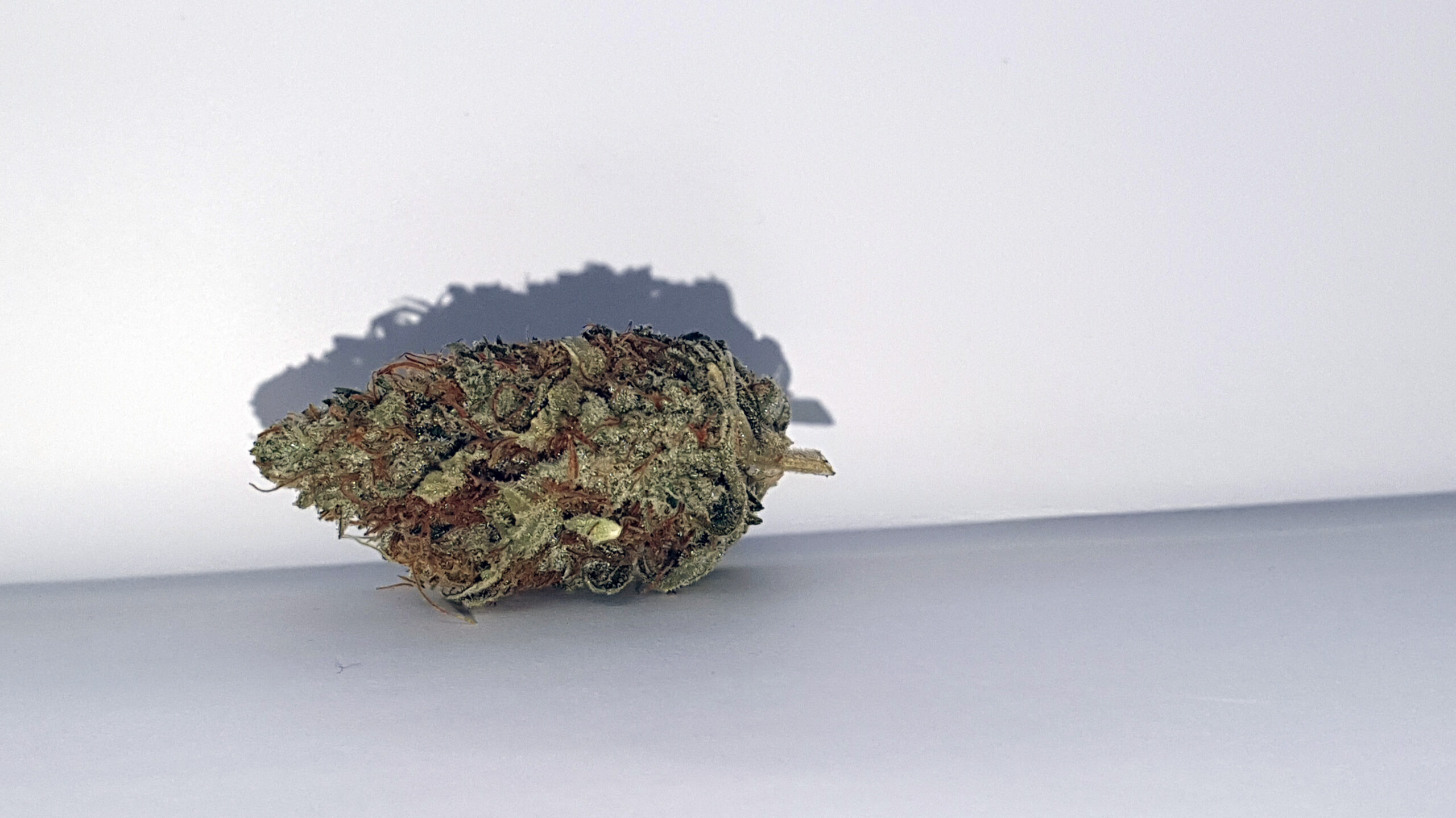 ISMOKE archive image 5 for Chocolate Starfish Cannabis strain review
