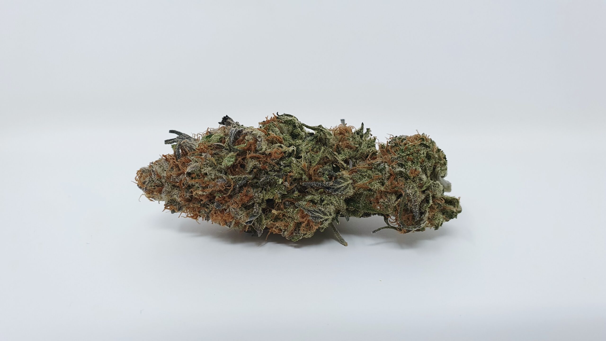 ISMOKE archive image 5 for Disco Biscuit Cannabis strain review