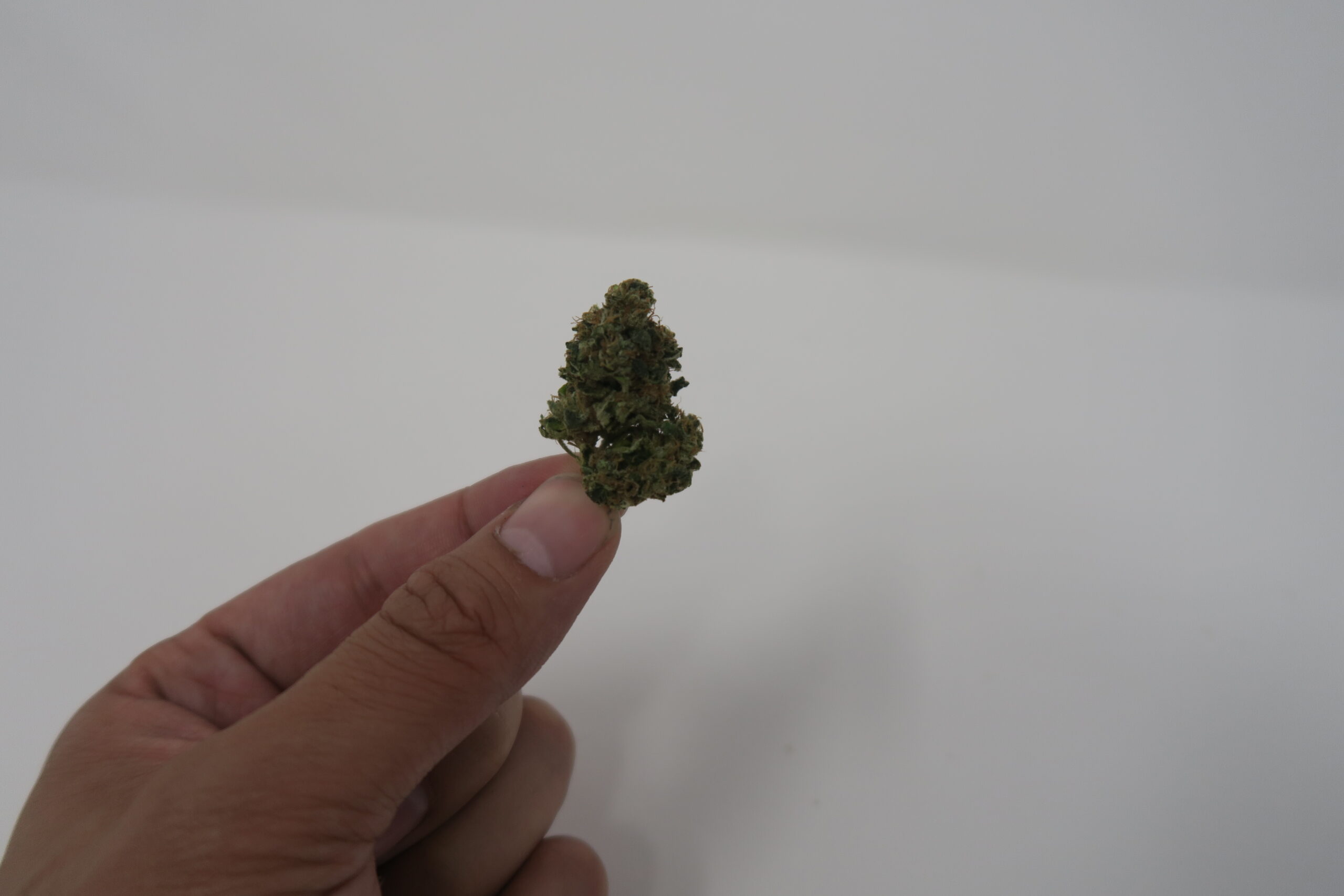 ISMOKE archive image 5 for East Coast Sour Diesel Cannabis strain review
