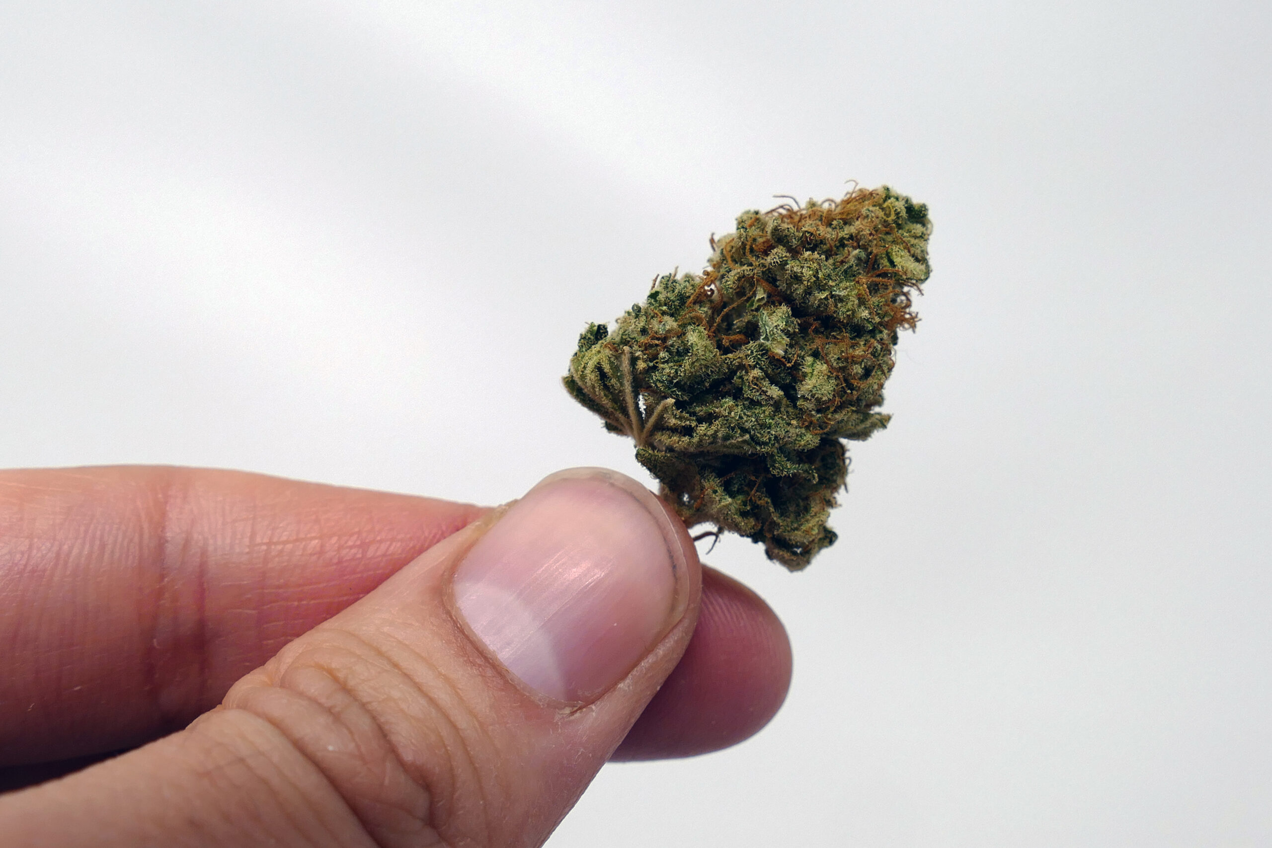ISMOKE archive image 5 for El Fuego (The Fire) Cannabis strain review