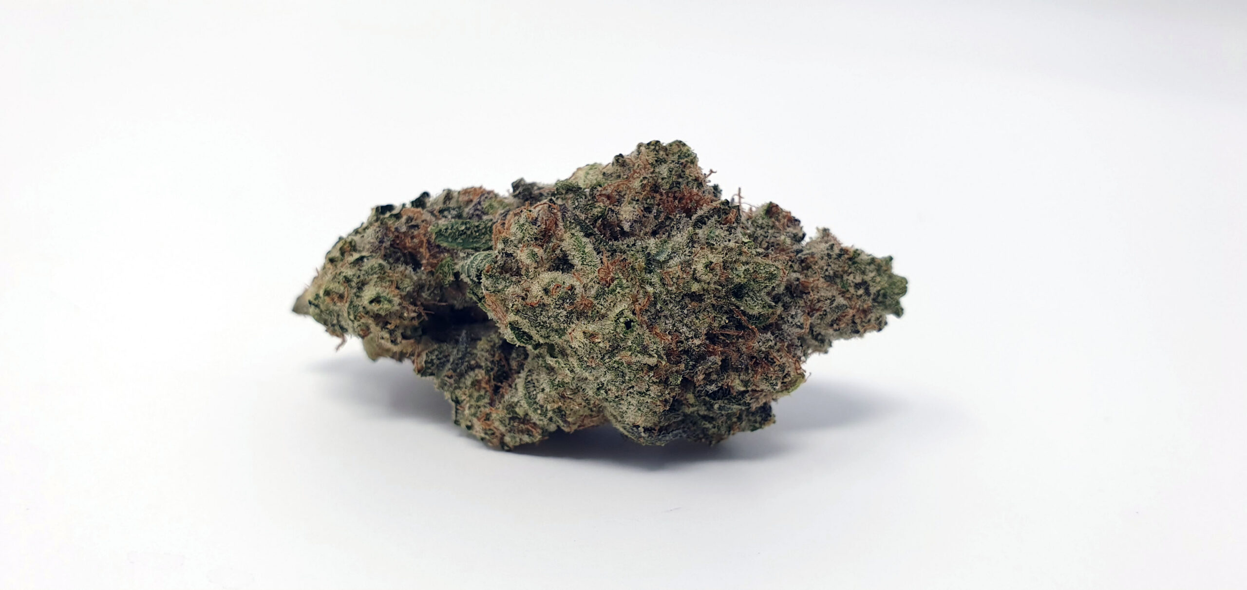 ISMOKE archive image 5 for Ginger Glue by Black Sheep Botanicals Cannabis strain review