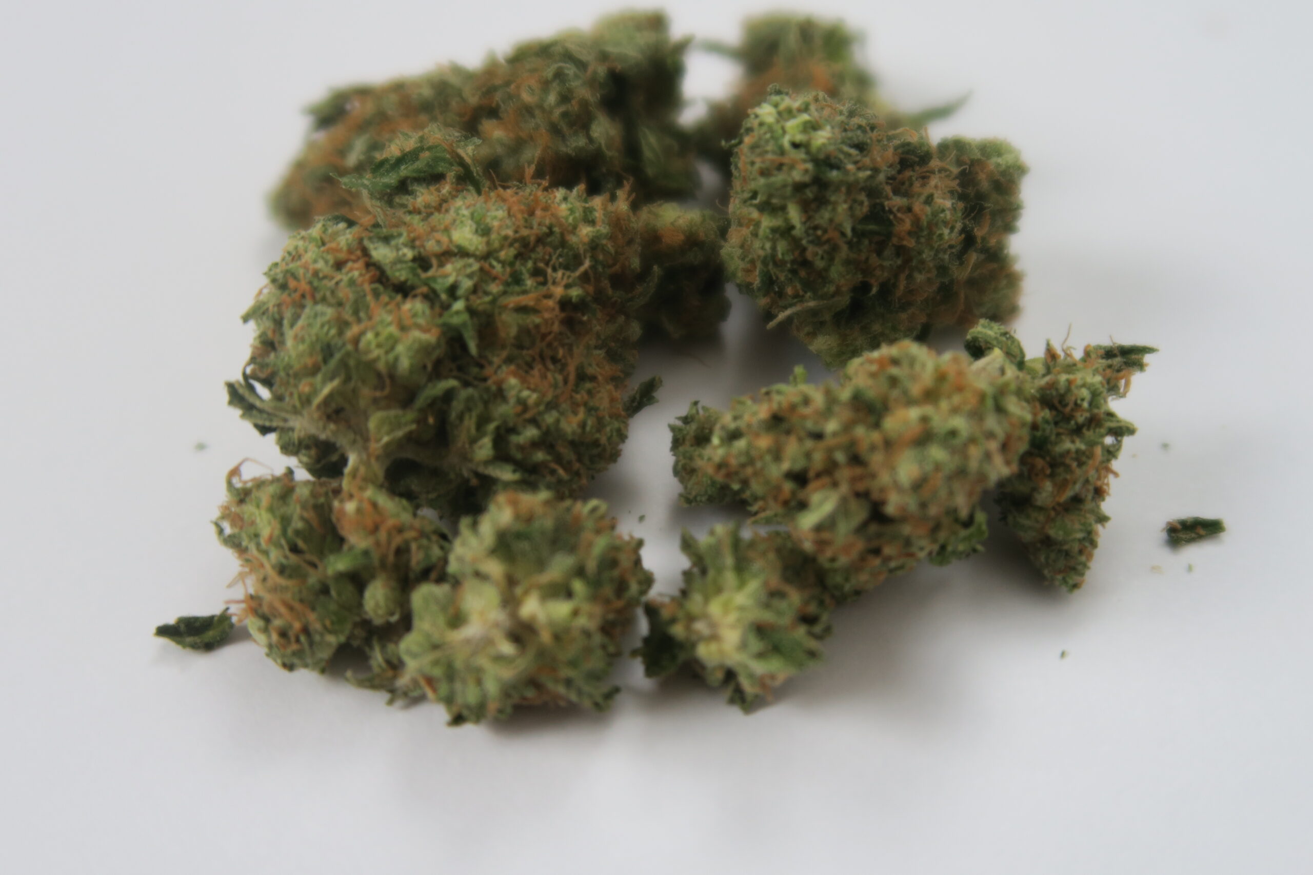 ISMOKE archive image 5 for Green Crack Cannabis Strain Review