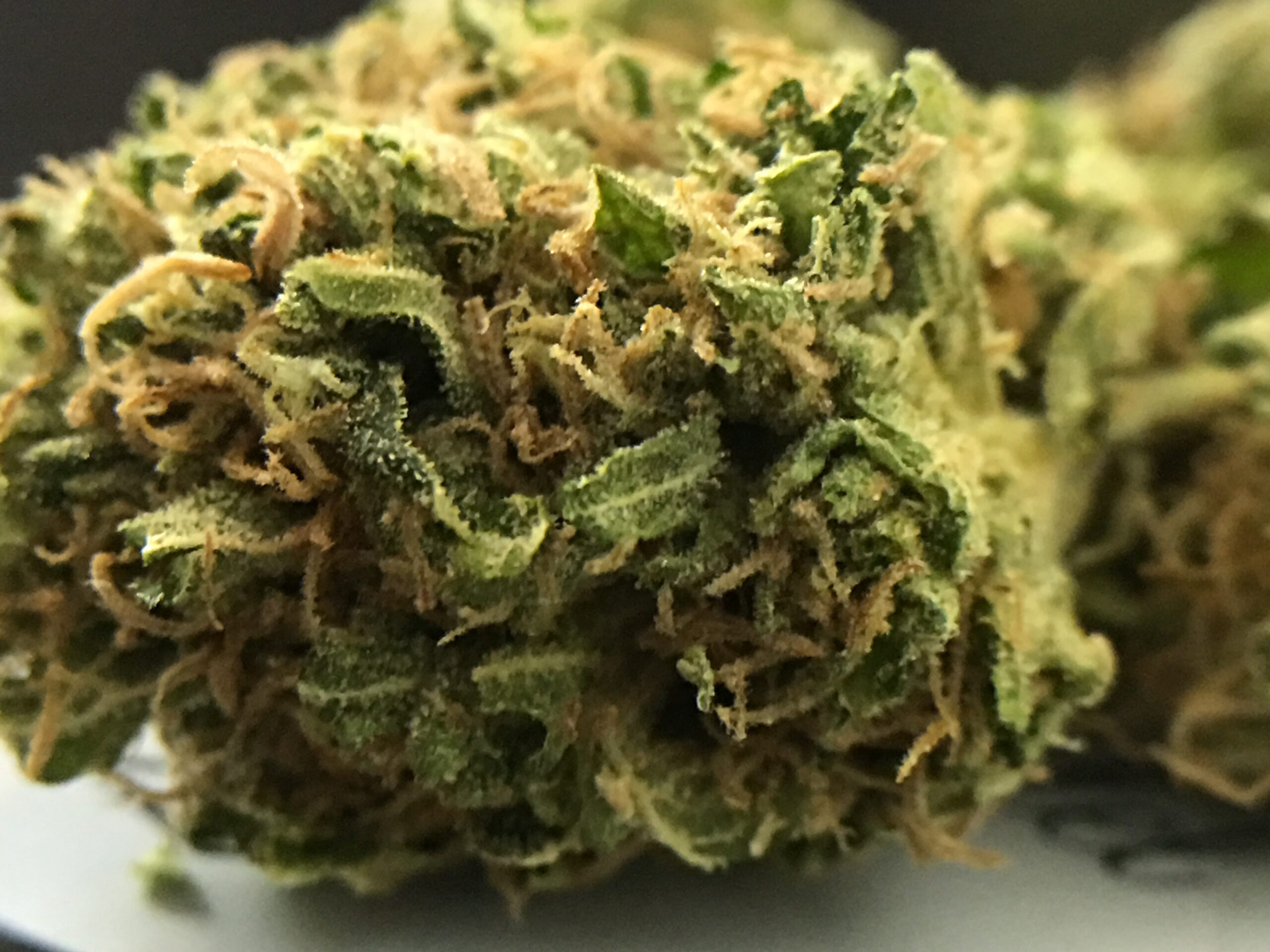 ISMOKE archive image 5 for Knightsbridge OG Weed Strain Review