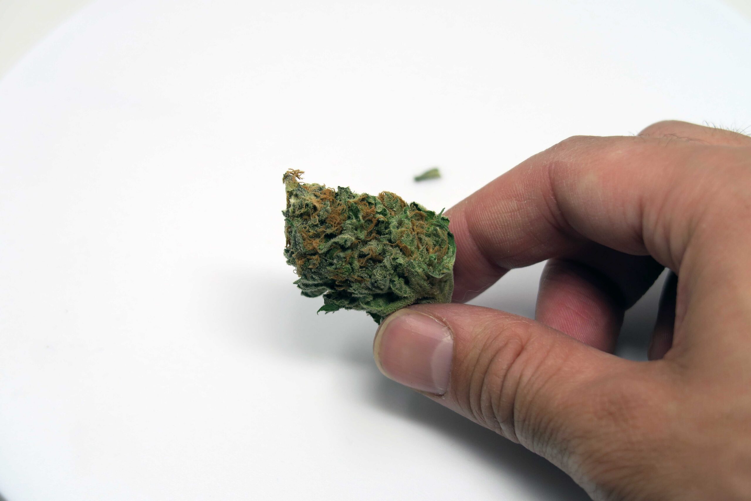 ISMOKE archive image 5 for Lavender Cannabis Strain Review