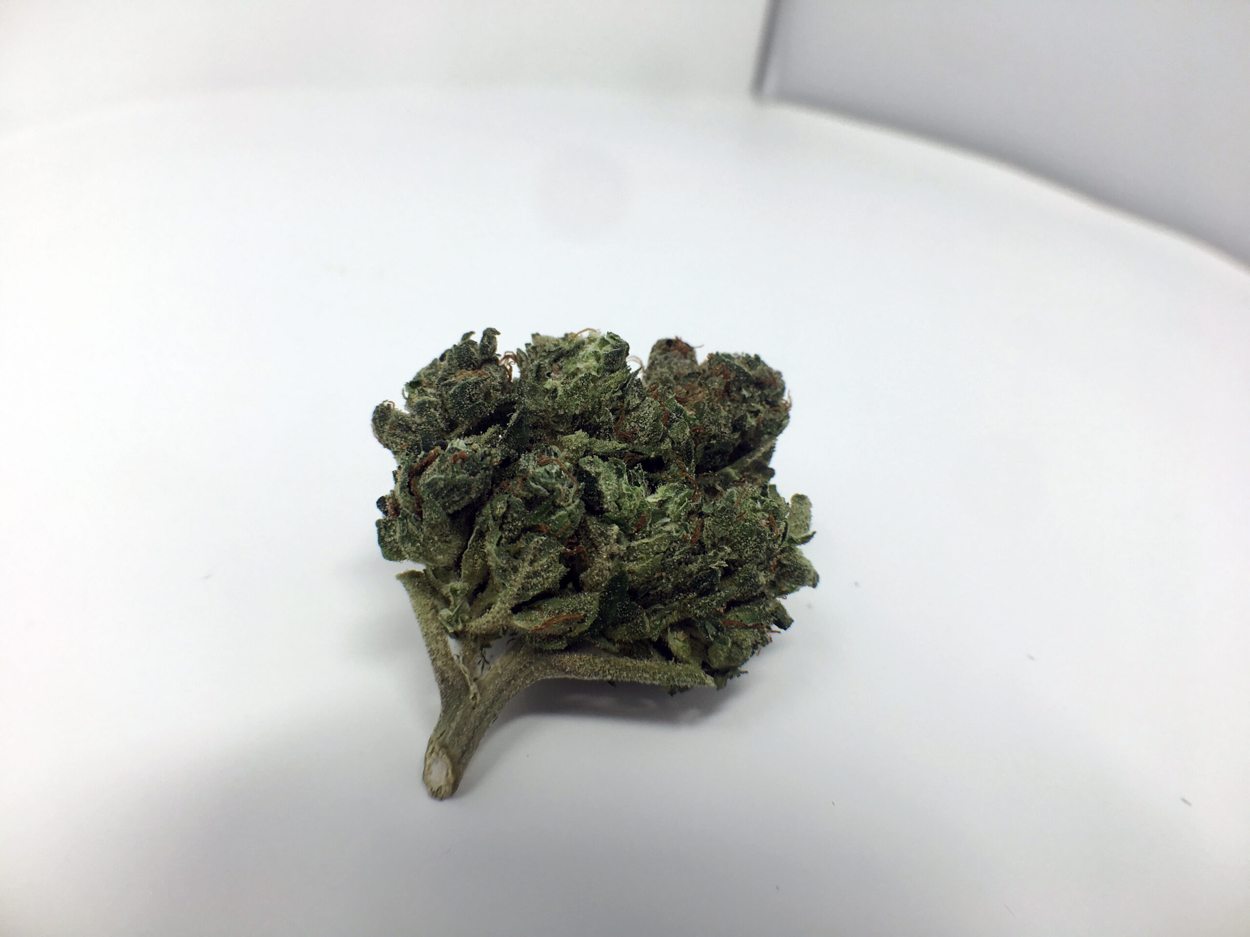 ISMOKE archive image 5 for Orange Diesel V3 [ODV3] Cannabis Strain Review