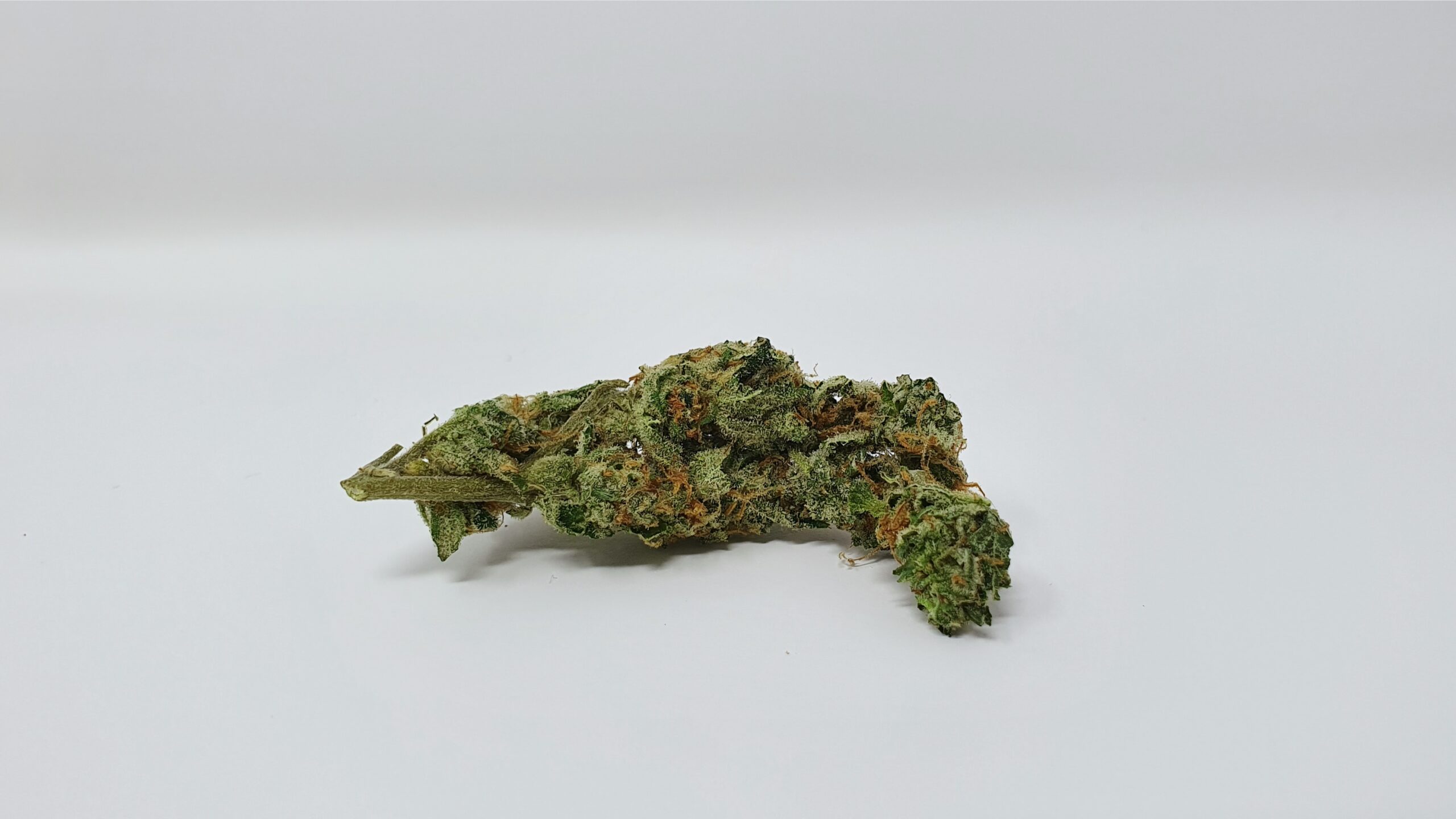 ISMOKE archive image 5 for Orange Slush Cannabis strain review