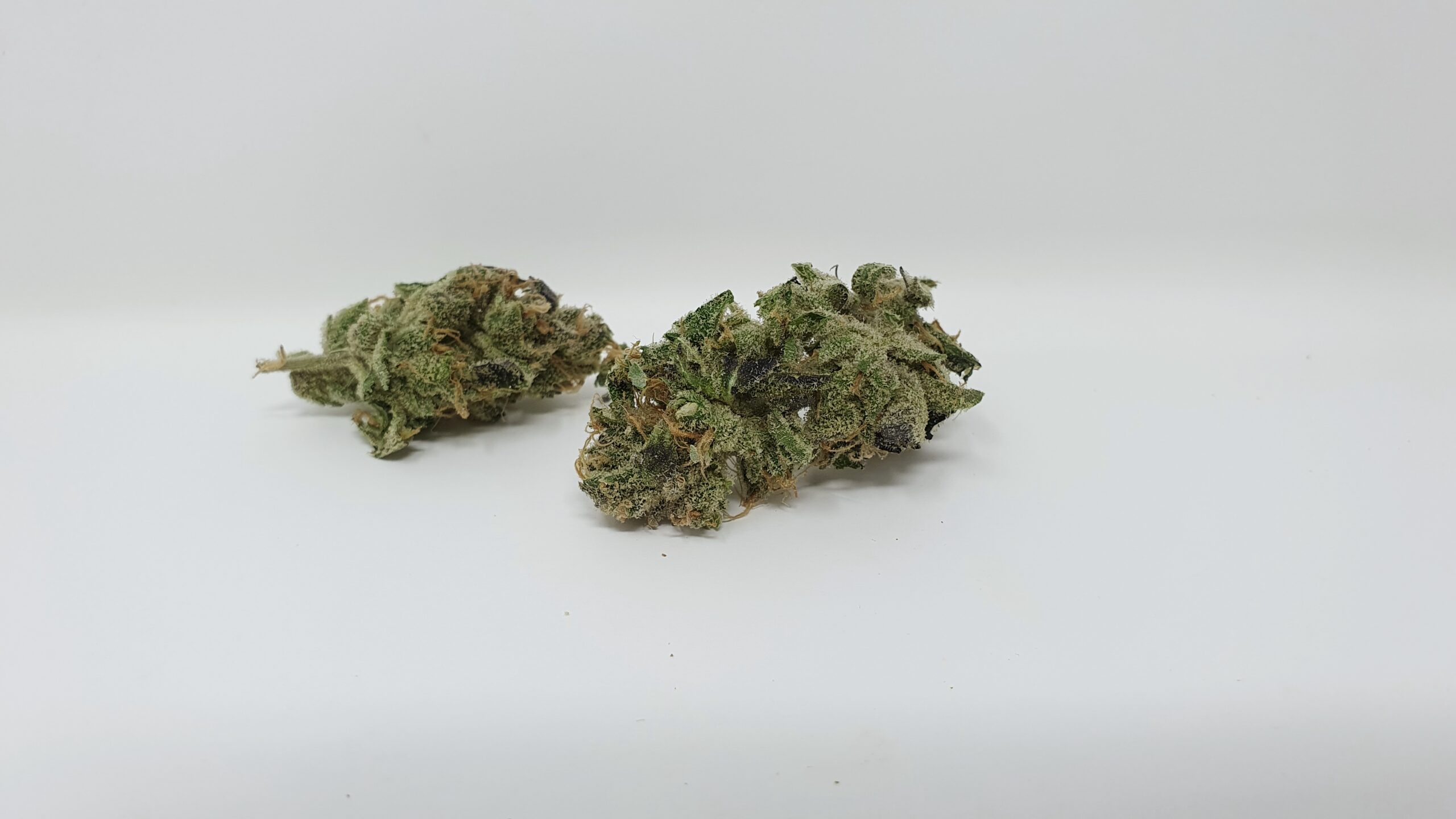 ISMOKE archive image 5 for Peach Ozz Cannabis strain review