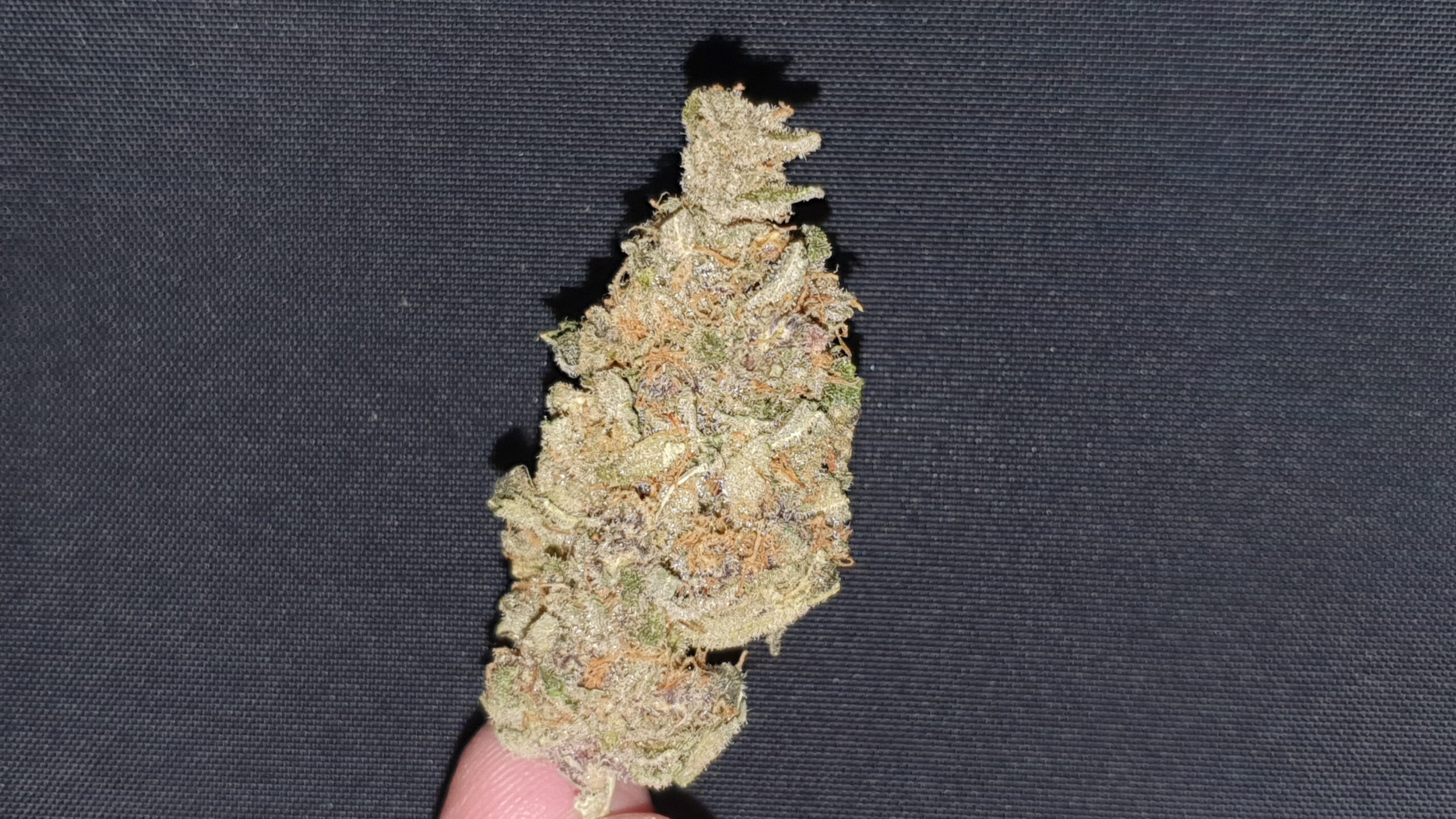 ISMOKE archive image 5 for Purple Punch Cannabis strain review