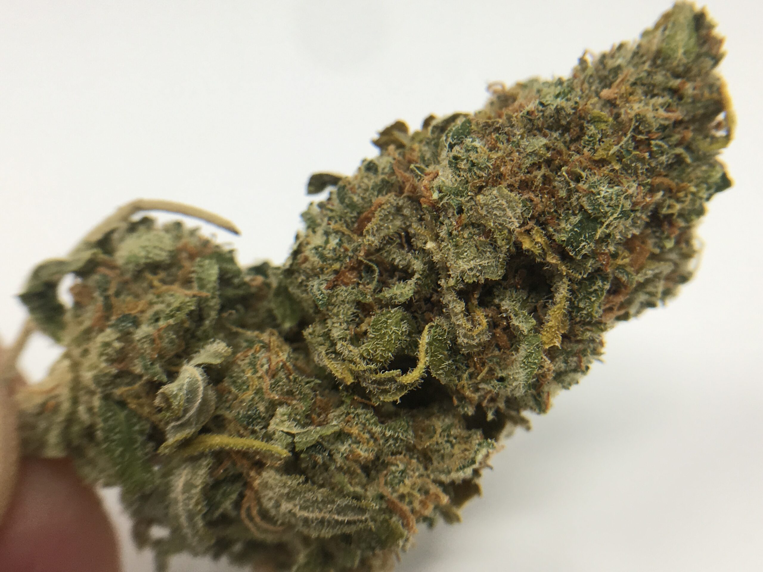 ISMOKE archive image 5 for Stardawg Strain Review