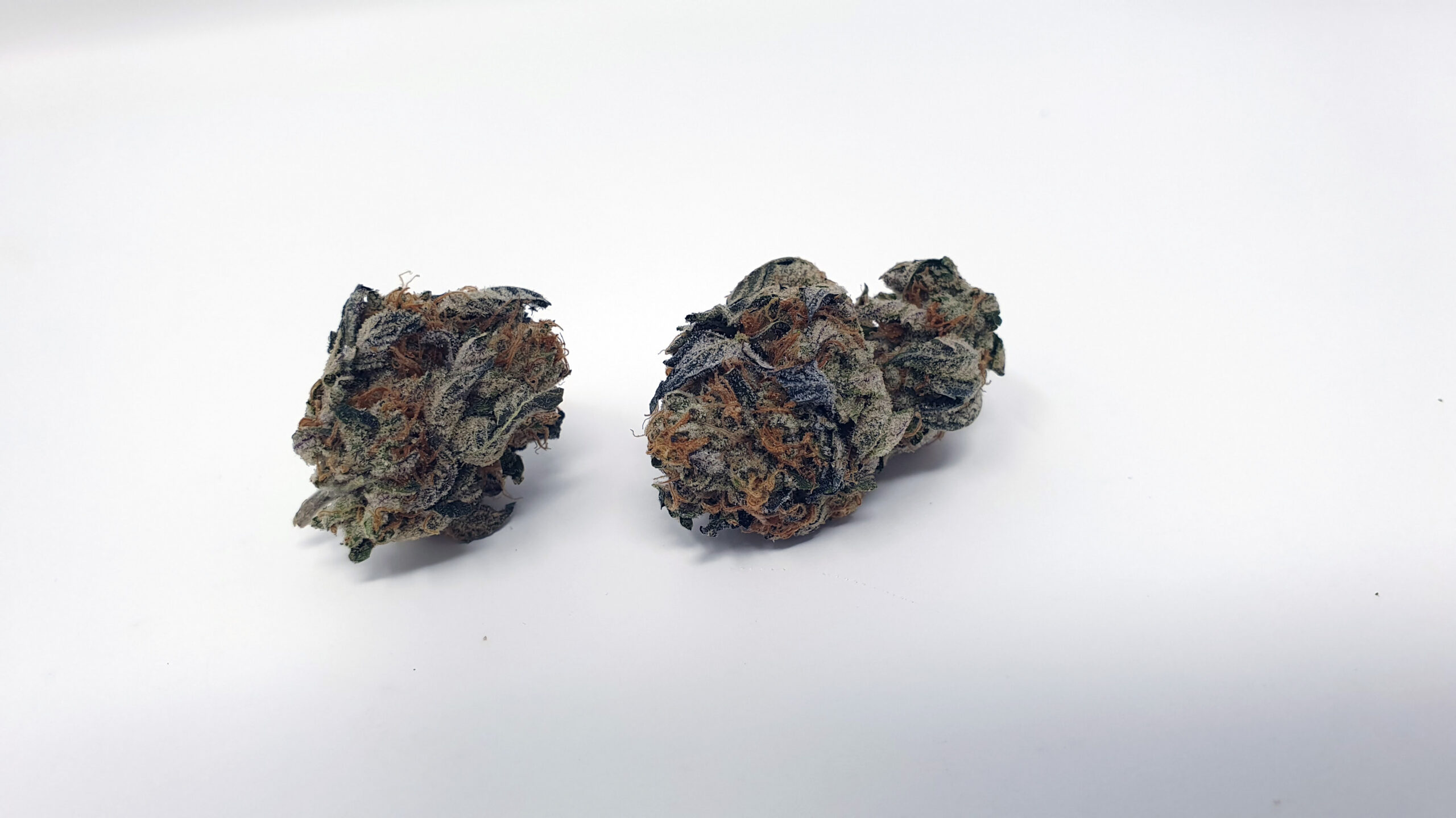 ISMOKE archive image 5 for Sunset Sherbet Cannabis strain review