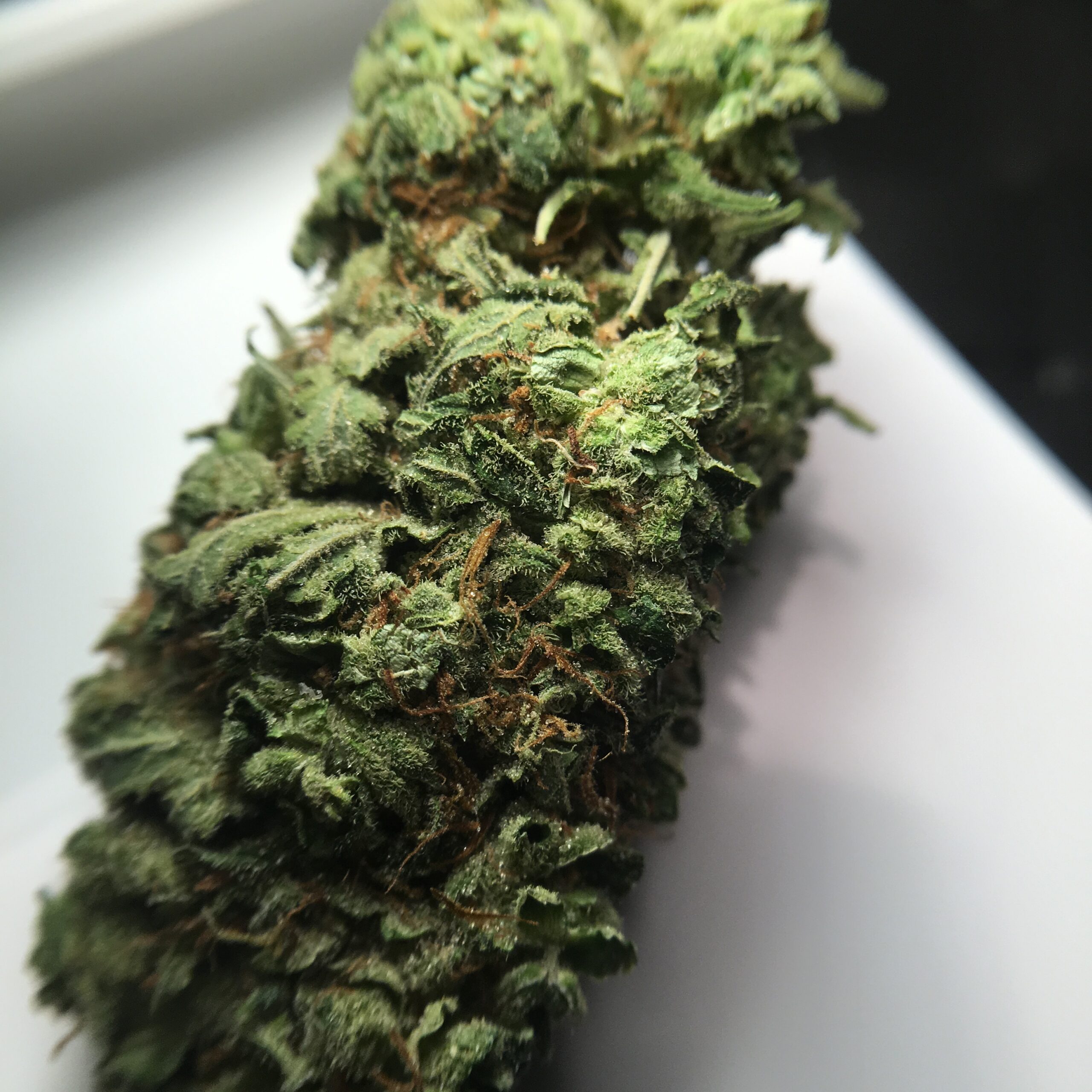ISMOKE archive image 5 for Super Bud Cannabis Strain Review