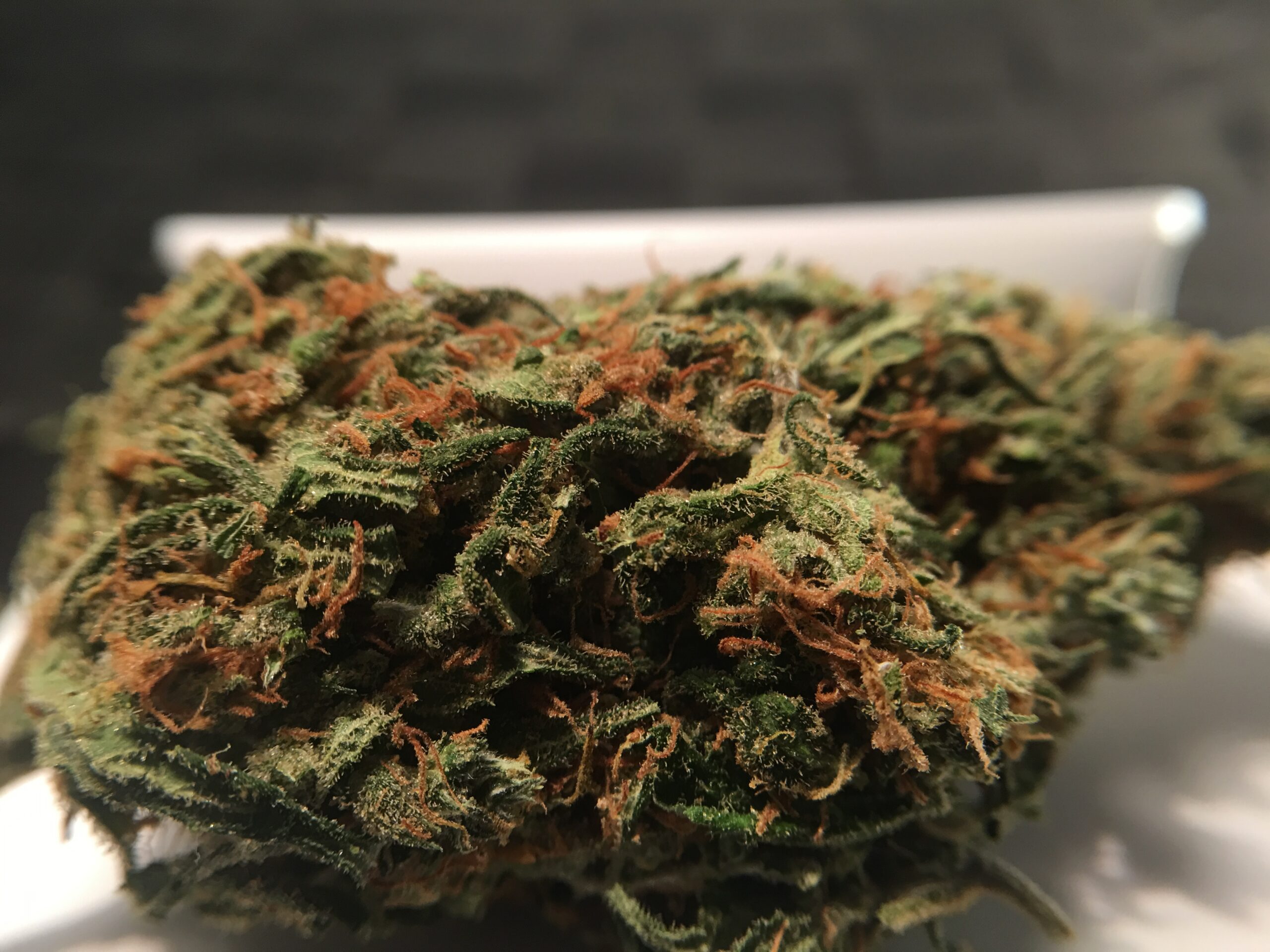 ISMOKE archive image 5 for Super Silver Haze Cannabis Strain review