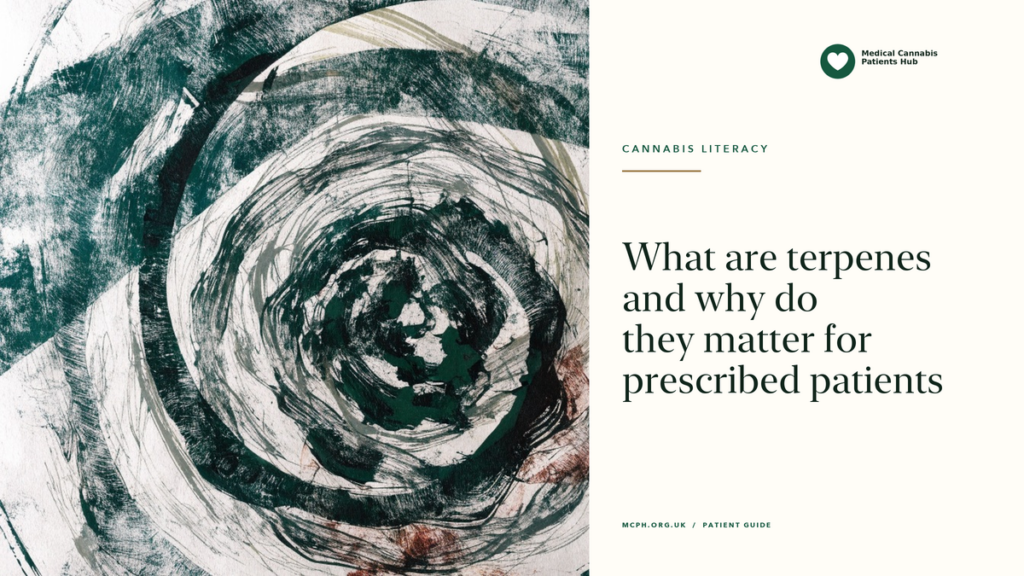 What are terpenes and why do they matter for prescribed patients — MCPH article cover